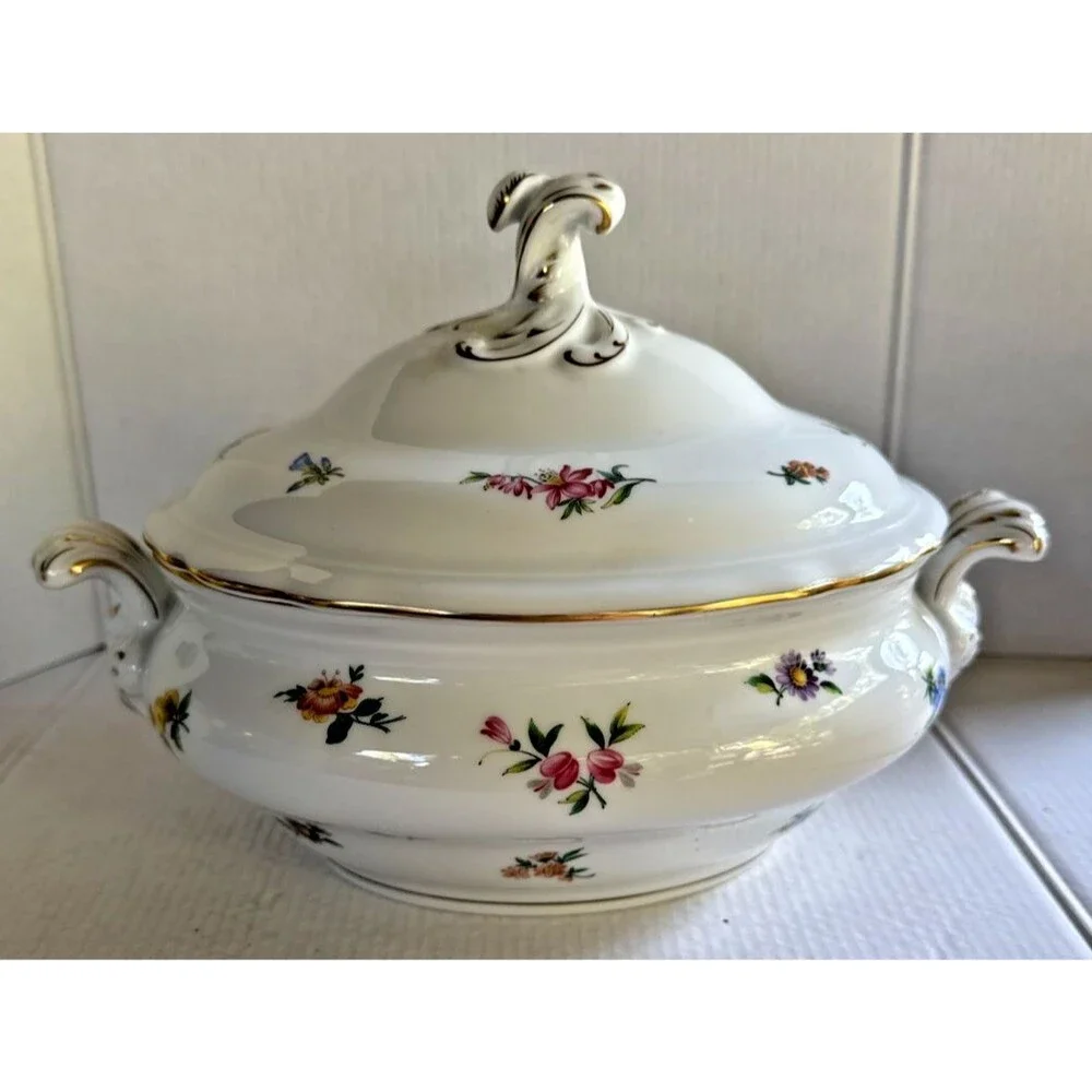 Vintage HUTSCHENREUTHER Mirabell Maria Theresia Dinnerware: HANDLED CASSEROLE